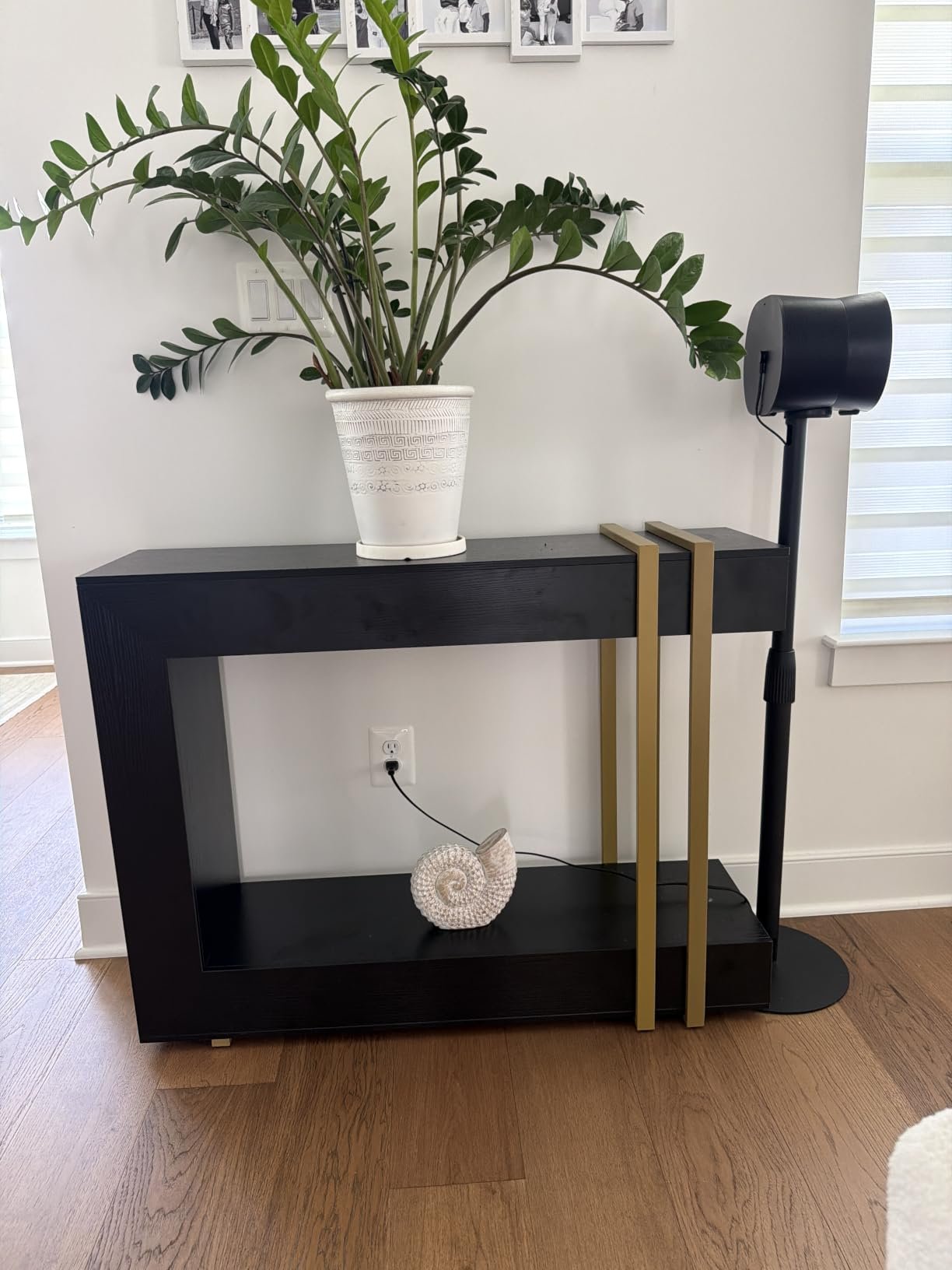 black geometric console table with plant decor